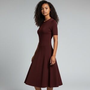 🍷Jason Wu Deep Burgundy Midi Dress | S | NWOT